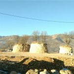 جریمه پیمانکار قطع‌کننده درختان بلوط در محور «یاسوج – اصفهان»
