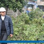 عملیات سبک سازی، هرس و جابجایی درختان خیابان مازیار