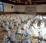 توزیع ۱۰۰۰ بسته معیشتی تبرکات علوی در ساری