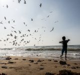 پسروی آب خزر و کاهش ۷۰ درصدی مهاجرت پرندگان به مازندران